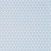 Thibaut Fabric Genie Powder W81926