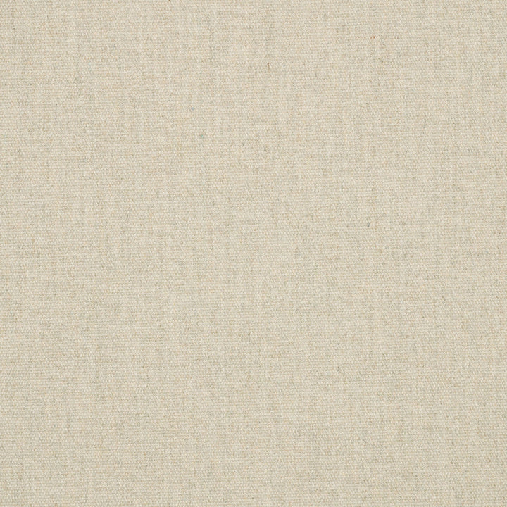 18013 Heritage Dove by Sunbrella Designer Fabric Sunbrella RETWEED 50% Sunbrella® Recycled Acrylic, 47% Sunbrella® Acrylic, 3% Sunbrella® Polyester USA or Imported 5-Year Horizontal: and Vertical: 54 in. - Swanky Fabrics -