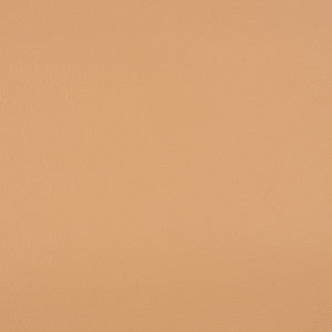 Sunbrella Fabric 10200-0007 Capriccio Toast