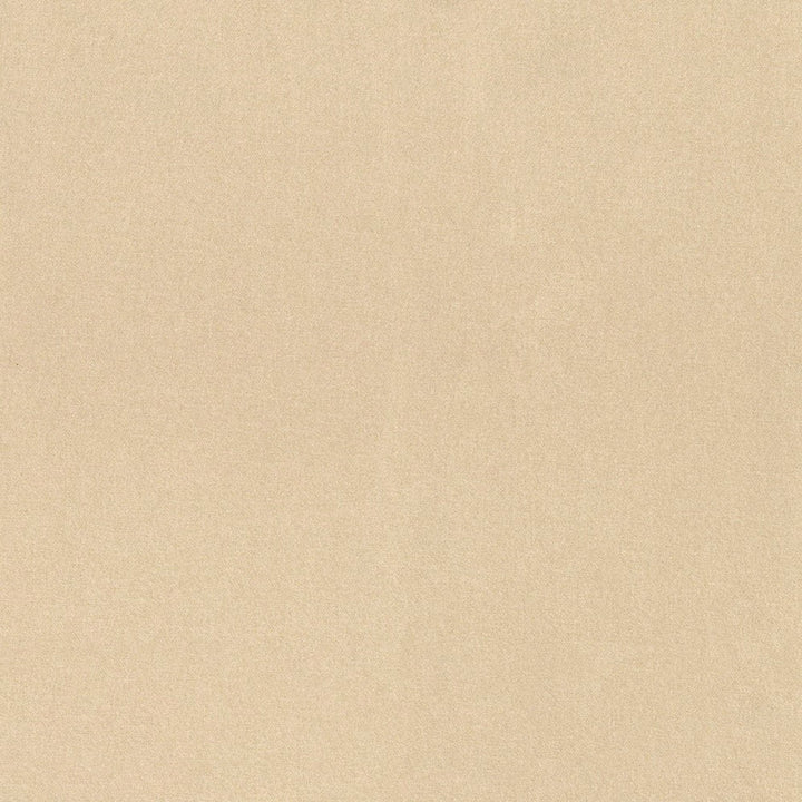 F5789 Cream by Greenhouse Designer Fabric - 100% Polyester China 100000 None 56" - Swanky Fabrics -