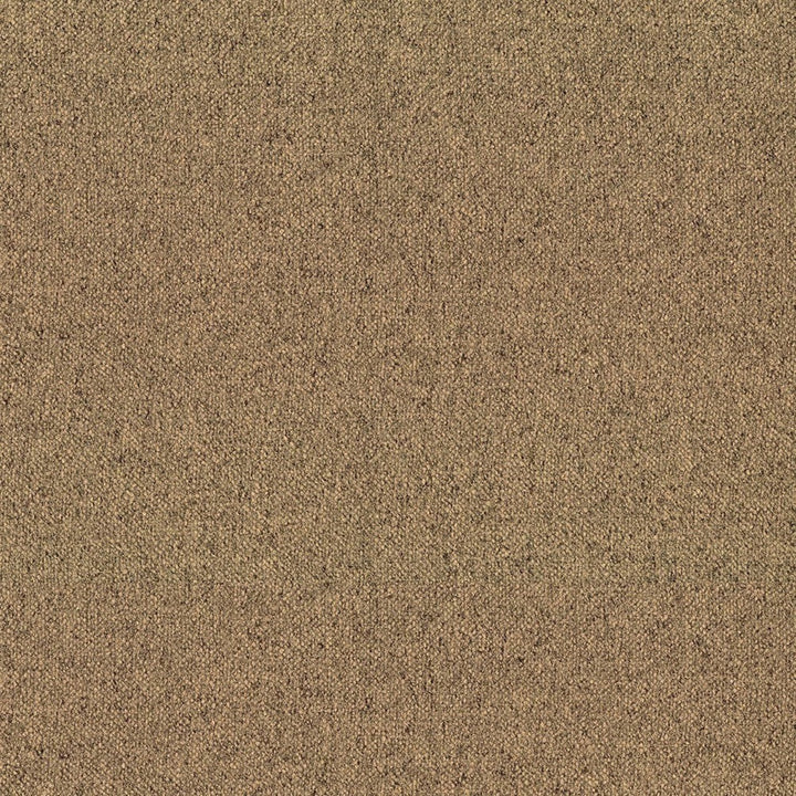 F5798 Hemp by Greenhouse Designer Fabric - 100% Polyester China 200000 None 56" - Swanky Fabrics -