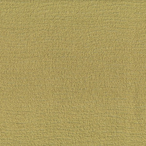 Greenhouse Fabric F5848 Apple