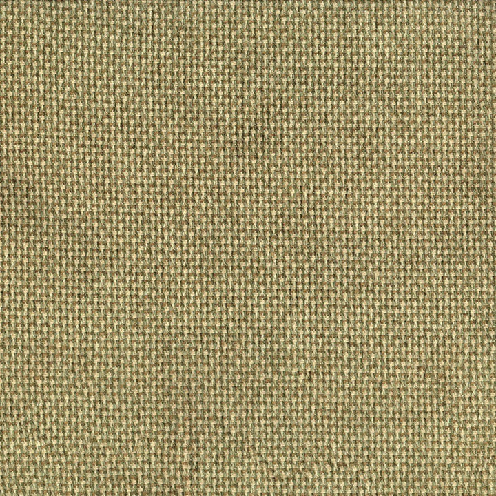 F5855 Lichen by Greenhouse Designer Fabric - 100% Polyester China 50000 None 57" - Swanky Fabrics -