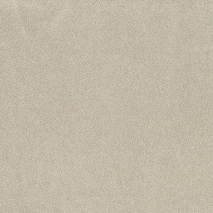 Greenhouse Fabric F5889 Ash