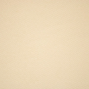 Greenhouse Fabric F5905 Snow