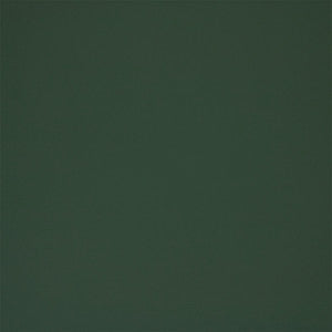 Greenhouse Fabric F5931 Seaglass