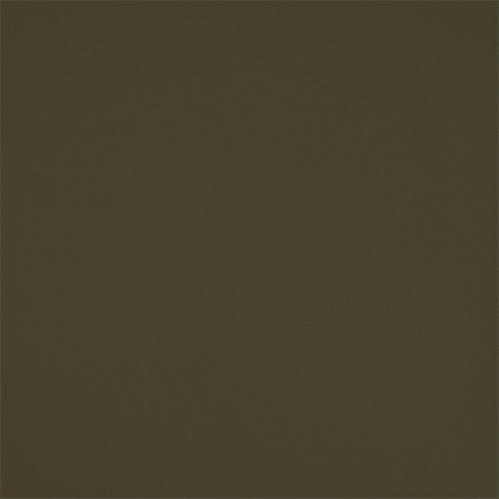 F5949 Aloe by Greenhouse Designer Fabric - 100% Pvc Polyester, Backing: 100% Polyester China 150000 None 54" - Swanky Fabrics -