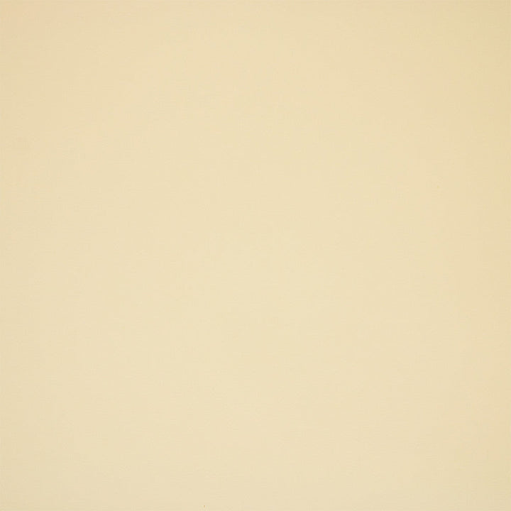 F5983 White by Greenhouse Designer Fabric - 100% Pvc Polyester, Backing: 100% Polyester China 100000 UTR 54" - Swanky Fabrics -