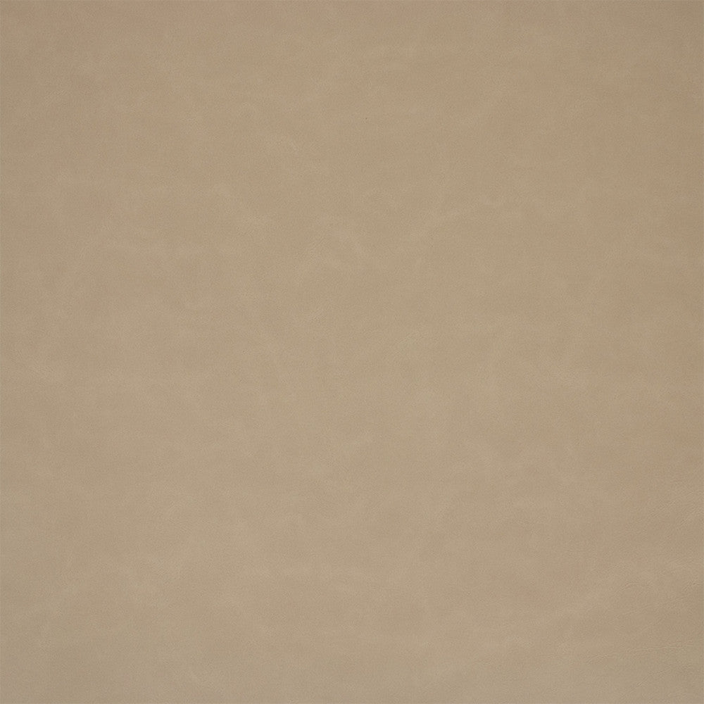 F6001 Gray by Greenhouse Designer Fabric - 100% Pvc Polyester, Backing: 100% Polyester China 100000 UTR 54" - Swanky Fabrics -