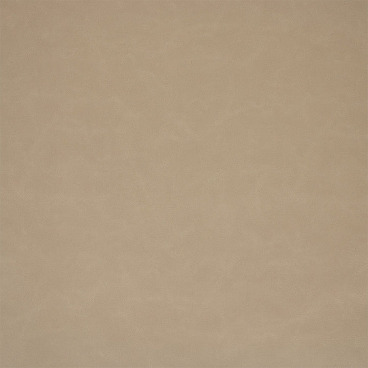 F6001 Gray by Greenhouse Designer Fabric - 100% Pvc Polyester, Backing: 100% Polyester China 100000 UTR 54" - Swanky Fabrics -