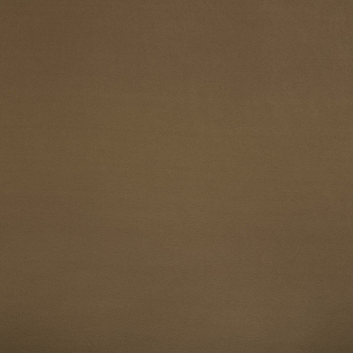 F6046 Stylish by Greenhouse Designer Fabric - 100% Polyester China 40000 None 55" - Swanky Fabrics -
