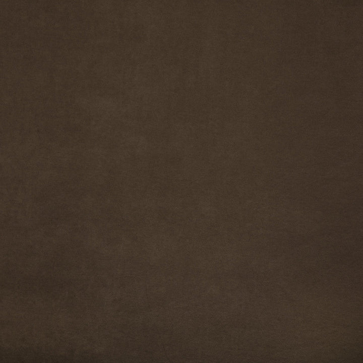 F6048 Tea by Greenhouse Designer Fabric - 100% Polyester China 40000 None 55" - Swanky Fabrics -