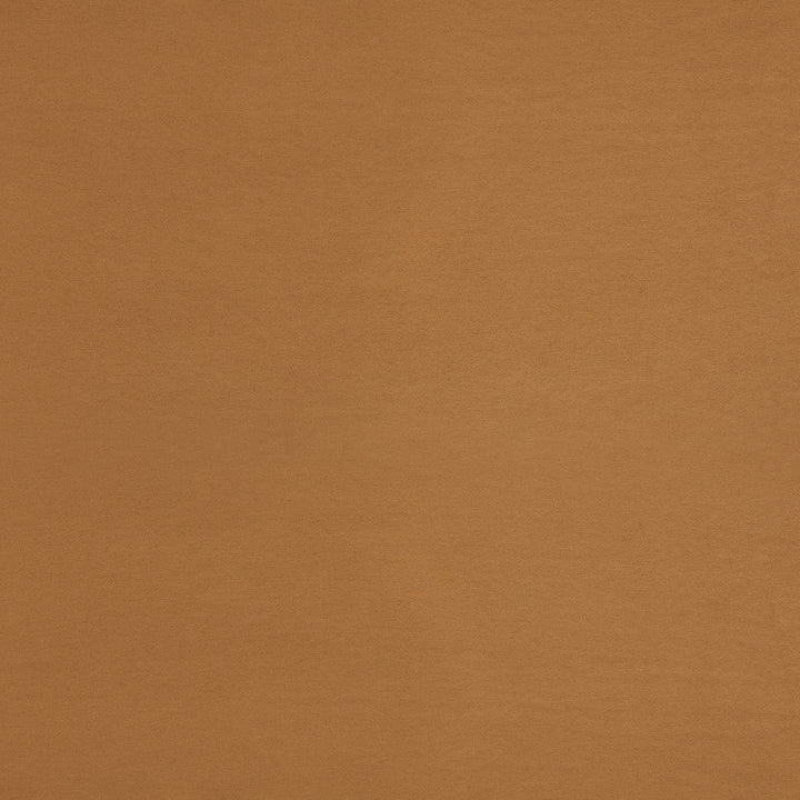 F6052 Radiance by Greenhouse Designer Fabric - 100% Polyester China 40000 None 55" - Swanky Fabrics -