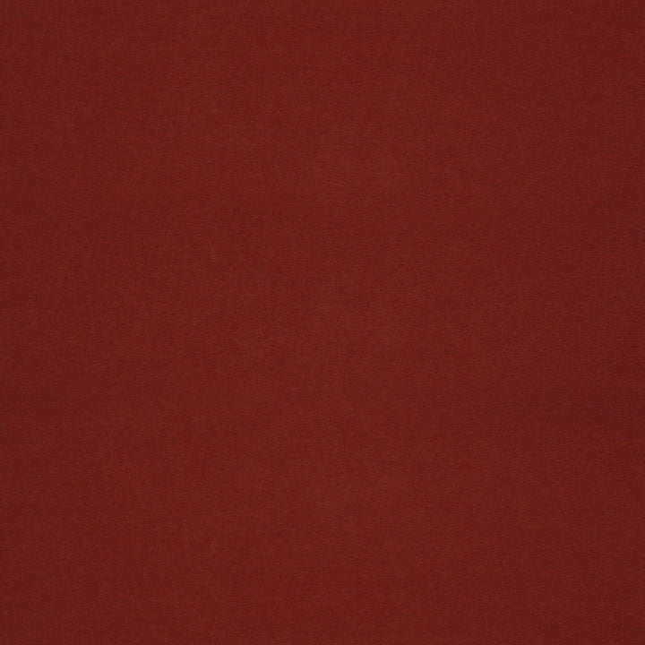F6056 Rubi by Greenhouse Designer Fabric - 100% Polyester China 40000 None 55" - Swanky Fabrics -
