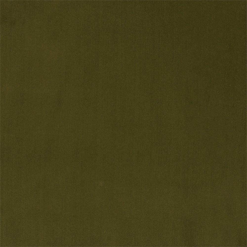 F6136 Olive by Greenhouse Designer Fabric - 100% Polyester China 100000 None 56" - Swanky Fabrics -