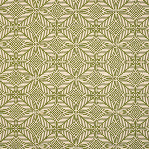 Greenhouse Fabric F6236 Green