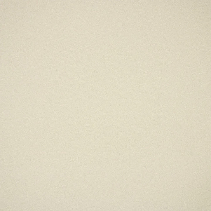 F6365 Eggshell by Greenhouse Designer Fabric - 100% Polyester China 100000 None 54" - Swanky Fabrics -