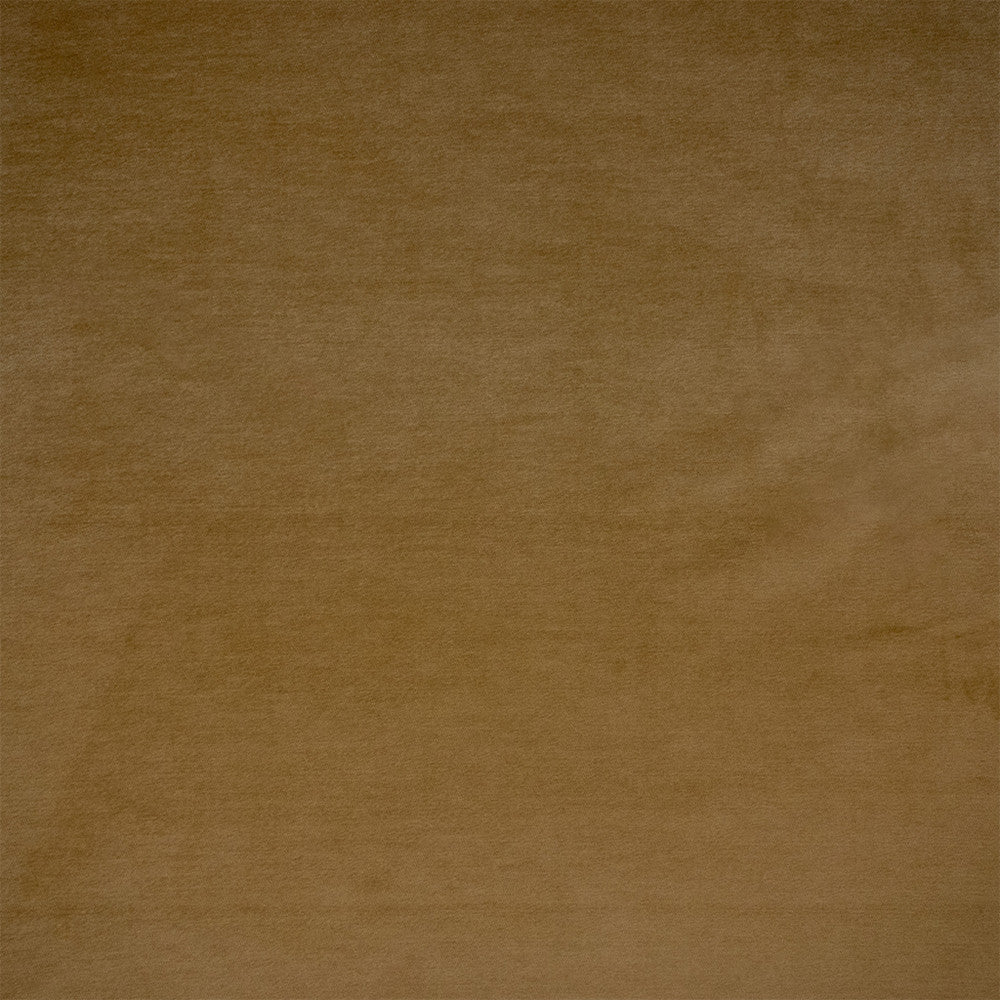 F6367 Vicuna by Greenhouse Designer Fabric - 100% Polyester China 100000 None 54" - Swanky Fabrics -