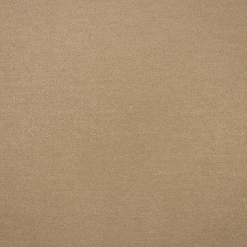 F6373 Bisque by Greenhouse Designer Fabric - 100% Polyester China 100000 None 54" - Swanky Fabrics -