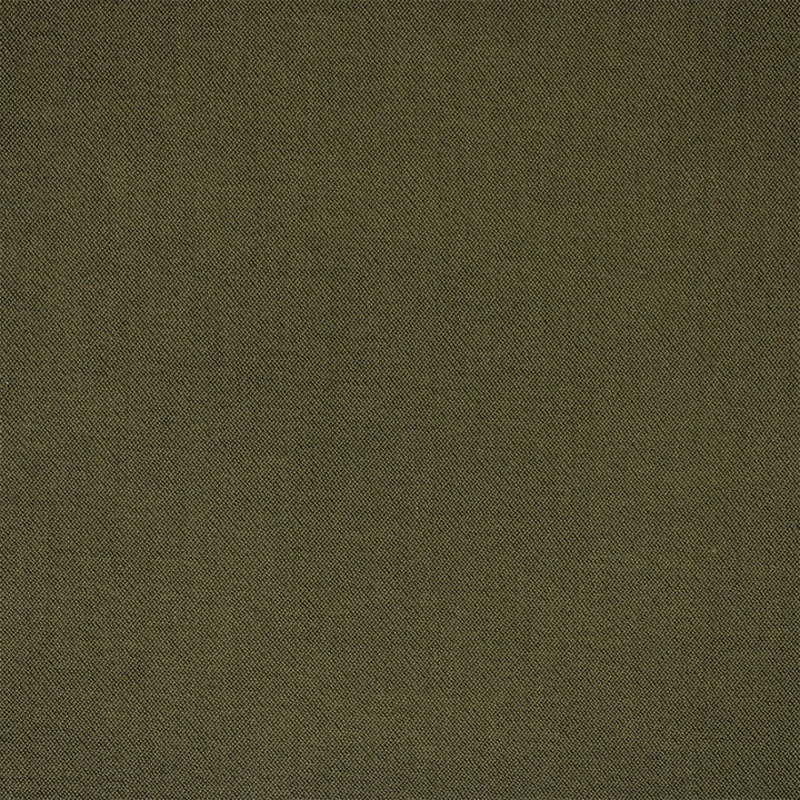 F6399 Moss by Greenhouse Designer Fabric - 100% Polyester China 100000 None 54" - Swanky Fabrics -