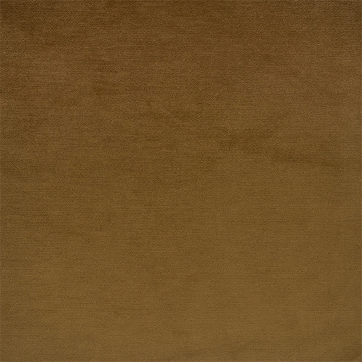 F6405 Camel by Greenhouse Designer Fabric - 100% Polyester China 100000 None 54" - Swanky Fabrics -