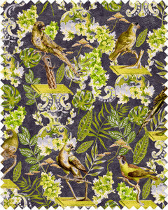 Mind the Gap Fabric Mind The Gap   LA VOLIERE Velvet (FB00028)