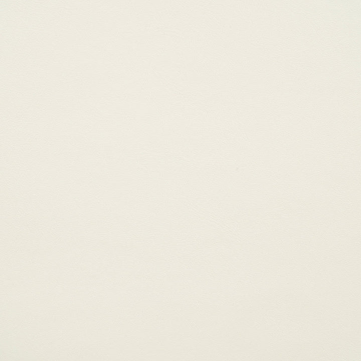 10200-0025 Capriccio Salt by Sunbrella Designer Fabric Sunbrella Horizon Capriccio Marine Upholstery Sunbrella® Engineered Leather USA or Imported 5-Year, 3-Year Microbial Pink Staining Horizontal: and Vertical: 54 in. - Swanky Fabrics -
