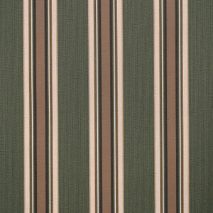 Sunbrella Fabric 4801 Emblem Fern
