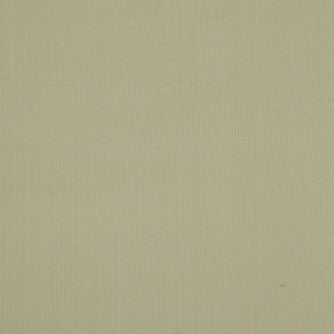 Silk II Guntur by Mitchell Designer Fabric #1704 100% Silk India </p><p>Repeat: Horizontal: 0 and Vertical: 0 54 - Swanky Fabrics -