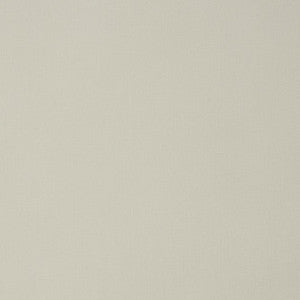 Mitchell Fabric Gatlin Snow