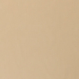 Mitchell Fabric Splendor Champagne