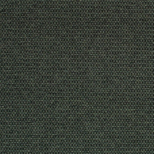 Mitchell Fabric Sampson Spruce