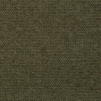 Sampson Turtle by Mitchell Designer Fabric #2308 90% Poly, 10% Nylon with Alta DWR PFAS-Free finish Imported </p><p>Repeat: Horizontal: and Vertical: 55 - Swanky Fabrics -