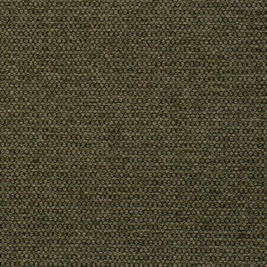 Mitchell Fabric Sampson Turtle