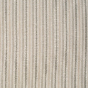 Mitchell Fabric Vincent Mist