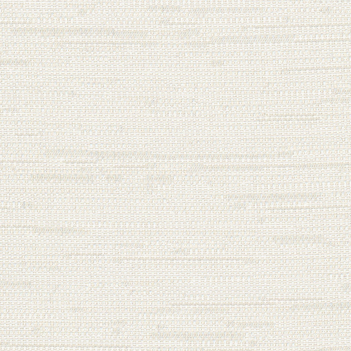 Cliff Top Alabaster by Carole Designer Fabric Excursion 66% Polyester, 34% Cotton India 36,000 Wyzenbeek Double Rubs Horizontal: 0 and Vertical: 0 56 - Swanky Fabrics -