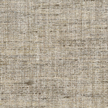 Pop Fly Latte by Carole Designer Fabric Texture Theory,Let's Mingle 100% Polyester India None 57" - Swanky Fabrics -