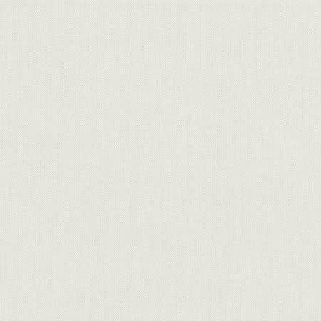 Freshman Pebble by Carole Designer Fabric Dove Wing 100% Polyester INDIA 100,000 Wyzenbeek Double Rubs None 54" - Swanky Fabrics -