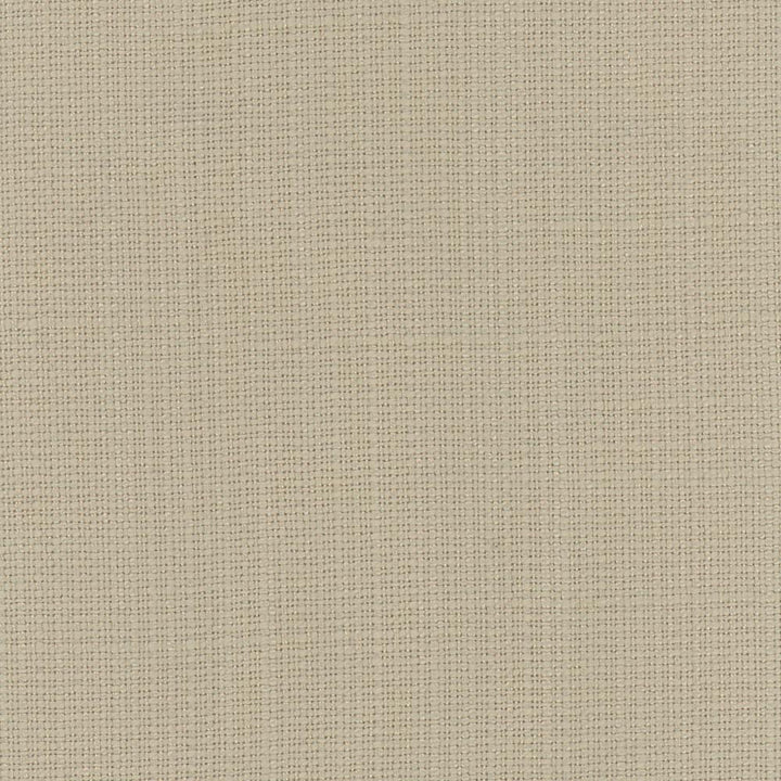 Narration Celadon by Carole Designer Fabric Narrator 100% Polyester Mexico Passes 30,000 Double Rubs Wyzenbeek Horizontal: 0 and Vertical: 0 54 - Swanky Fabrics -
