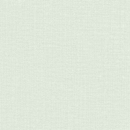 Liberty Mint by Carole Designer Fabric Liberty,Liberty II 100% Polyester India Passes 50,000 Double Rubs Wyzenbeek None 54" - Swanky Fabrics -