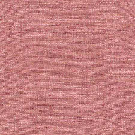 Training Day Rose by Carole Designer Fabric Sunbaked 92% Polyester, 8% Cotton INDIA None 54" - Swanky Fabrics -