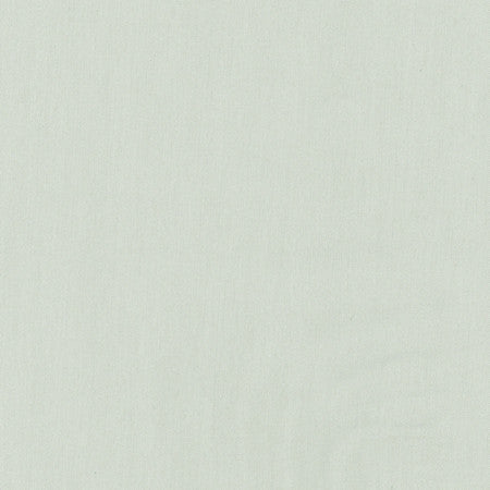 Comfort Mint by Carole Designer Fabric Daydreaming 100% Cotton India Passes 21,000 Double Rubs Wyzenbeek Horizontal: None and Vertical: None 54" - Swanky Fabrics -