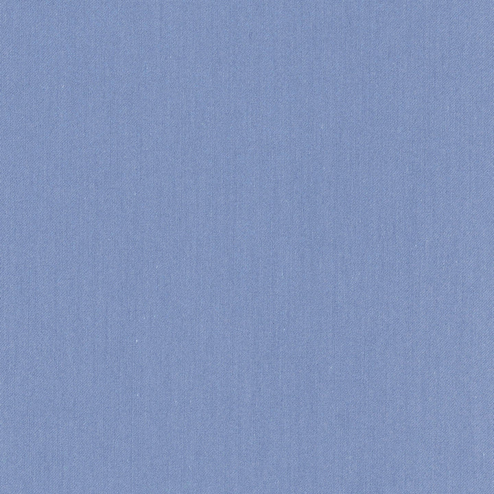 Comfort Royal by Carole Designer Fabric Daydreaming 100% Cotton India Passes 21,000 Double Rubs Wyzenbeek Horizontal: 0 and Vertical: 0 54 - Swanky Fabrics -