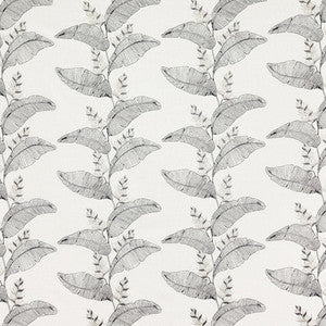 Carole Fabric Captivate Me Licorice