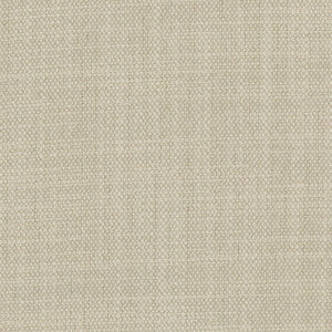 Carole Fabric Brookings Silver