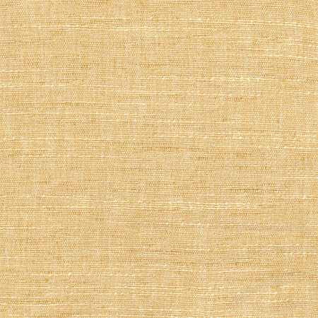 Training Day Canary by Carole Designer Fabric Sunbaked 92% Polyester, 8% Cotton INDIA N/A None 54" - Swanky Fabrics -