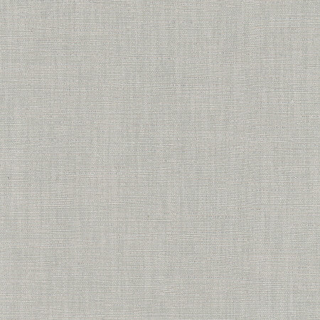 Athlete Sterling by Carole Designer Fabric Pewter 60% Cotton, 40% Polyester India Passes 50,000 Double Rubs Wyzenbeek </p><p>Repeat: None 55" - Swanky Fabrics -