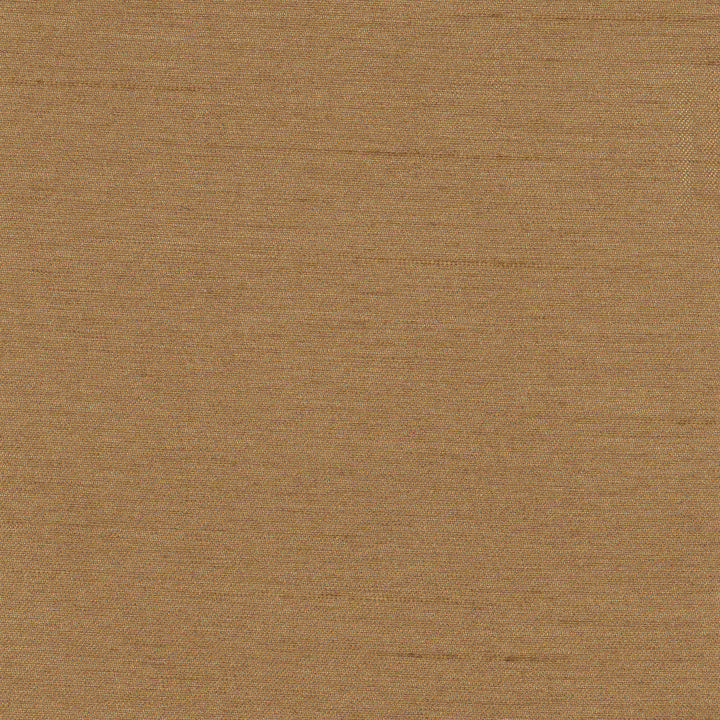 Northwind Brush by Carole Designer Fabric New Northwind Iv 100% Polyester India Passes 9,000 Double Rubs Wyzenbeek Horizontal: 0 and Vertical: 0 54 - Swanky Fabrics -