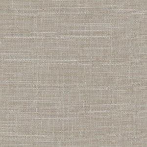 Carole Fabric Truth Be Told Pewter