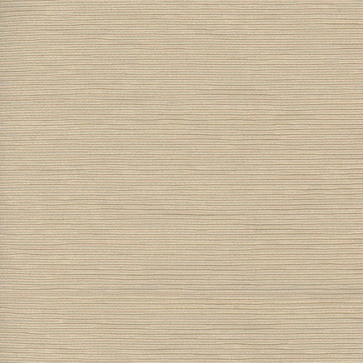 First Novel Wafer by Carole Designer Fabric Stationery 72% Rayon, 28% Polyester China Passes 30,000 Double Rubs Wyzenbeek Horizontal: 0 and Vertical: 0 55 - Swanky Fabrics -